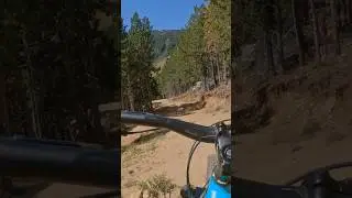 BLOODY MARY ♦️ Bike Park Les Angles #bikepark #bikeparklesangles #lesangles #mtb #vtt #vttdh #viral