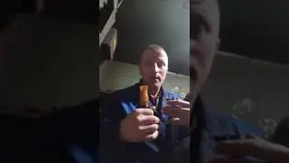 ну и все звуки на манке по белолобому гусю ,для охоты хватит без проблем