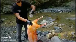 Чудесный рецепт и реакция | Прикол