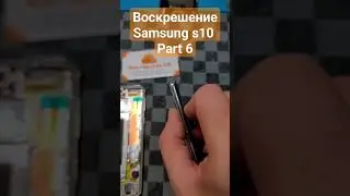 Воскрешение Samsung s10 Part 6 В мастерской Ёж г.Владимир