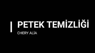 Chery Alia Kalorifer Petek Temizliği | #chery #cherytürkiye #cheryalia #cherytiggo #petektemizliği
