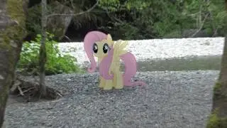 Fluttershy in real life