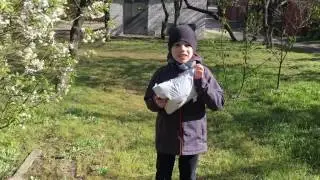 Посылка от Киндера!