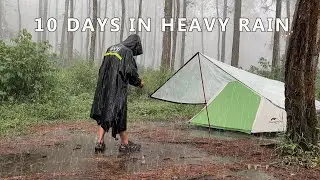 SOLO CAMPING IN POURING RAIN - RELAXING RAIN SOUNDS IN THE TENT ASMR