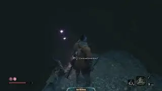 Sekiro Shadows Die Twice  - #8