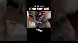 몇 시간이면 운전이 가능해질까?