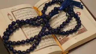 قران كريم بصوت جميل يريح النفس #2023 #quran