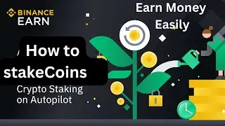 How to stake coins in Binance | Binance Interface Changed