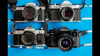 The Gallery - Episode 27: "My Film Camera Collection"