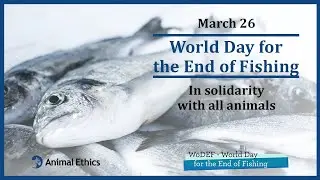 World Day for the End of Fishing