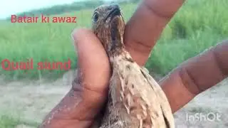 Raat ke Liye Kamal awaaz