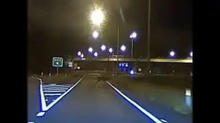 Deer on Sunshine Motorway: Dashcam footage