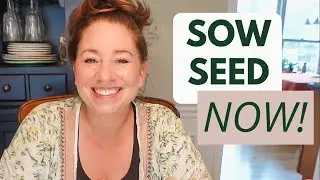 Sowing Native Plant Seeds in the Fall for Spring Plants + Growing Advice!