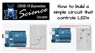 How to build  a simple circuit that controls LEDs (TinkerCad Circuits)