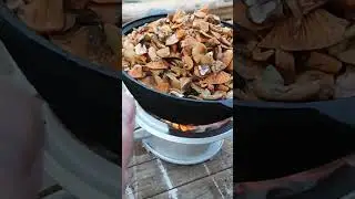 Рыжики на зиму.