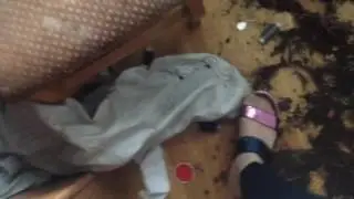 Хаски дома один, и все это за час.