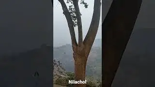 Nilachol