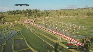 Gebyar Merah Putih Jatiluwih Polda Bali