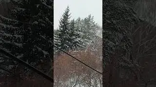 Не грусти🥰скоро Новый год🎄