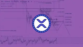 Is XRP going to $.62?! URGENT XRP Market Update and Chart Analysis by Tara!