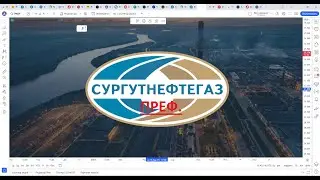 Обзор акции СУРГУТ преф.