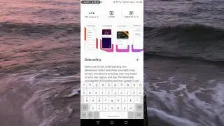 Payoneer App review