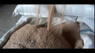 Как выглядят качественные кормовые дрожжи