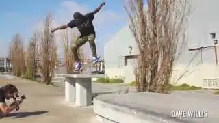 ZOO YORK SAN FRANCISCO 2015
