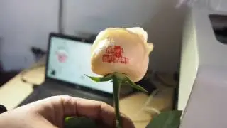 Flower Printer Flower Printing Machine