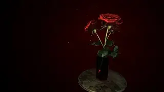 Red Roses - Burning Test - Cinema 4D + Octane Render
