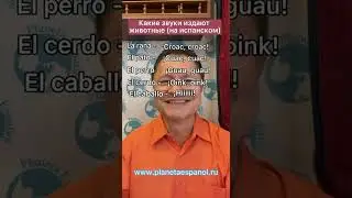 ЗВУКИ ЖИВОТНЫХ ПО-ИСПАНСКИЙ | ЧАСТЬ 2