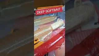 deep softbait
