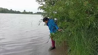 р Самарка вдоль берега