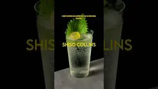 Shiso Collins 