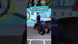 Russia’s Police Bears 🐻 Criminals Fear THIS in Russia 🚨 Russia’s Wild Police Force 👮‍♂️ 