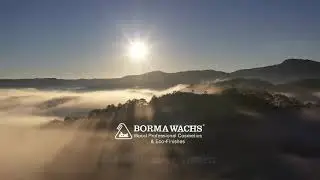 Borma Wachs - Green