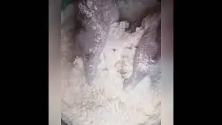 asmr,asmr eating,asmr meaning   