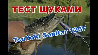 TsuYoki Sanitar 125F. Обзор воблера и первый тест Щуками