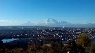 Арарат