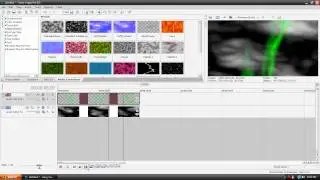Another Simple Intro Creation Part 1 - Sony Vegas Tutorial