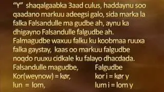 sharax kooban bugga lacsimo