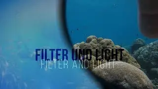 Basics of Underwater Photography: Filter I