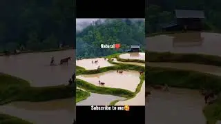 #NETURAL♥️ #MOTION🔥 #SORTS💥