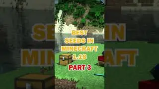 👉MINECRAFT SEEDS for your WORLDS in 1.18👈