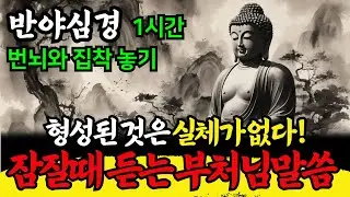 (반야심경) 번뇌와 집착 내려놓기 | 사성제(四聖諦)와 연기의 법칙 | 부처의 가르침 | 불교명언 | 깨달음 불면증 | 잠 잘때, 잠 안올때 듣는 명언 말씀