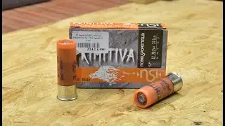 Shocking Shot of a Primitive Bullet from Nobel