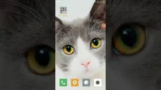 Стрим или крутой видос???
