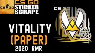 CSGO - Sticker | Vitality (Paper) | 2020 RMR - Scrape - Counter Strike (CLEAN SCRAPE)