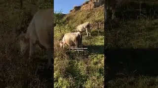 ОБЫЧНОЕ УТРО В ДОМЕ НА КОЛЁСАХ🤩🚐