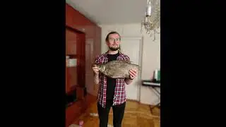 MeloDick Boy - Голый пианист